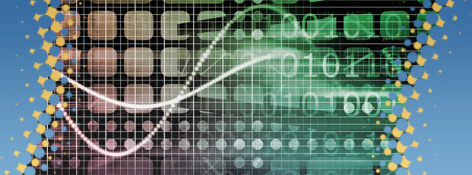 Database Marketing